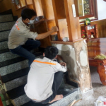 Diet moi tan goc tai nha gia re