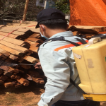 Công ty diệt mối tại quận 7 - tphcm