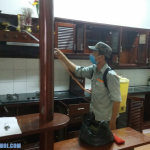 Cong ty diet moi tinh Tra Vinh