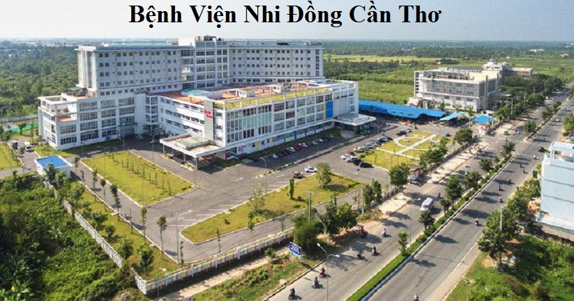 chống mối tại Cần Thơ