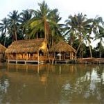 Dịch vụ diệt côn trùng tại Bến Tre