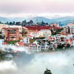 Công ty diệt côn trùng tỉnh Đắk Nông