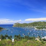 Công ty diệt côn trùng tại Ninh Thuận