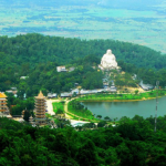 Công ty diệt côn trùng tại An Giang