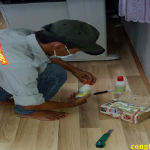 diệt mối tại Thừa Thiên Huế