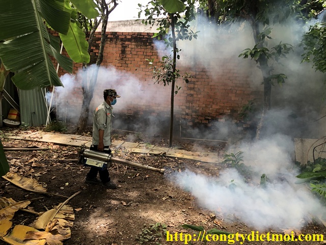 Dịch vụ diệt côn trùng tại Phú Thọ