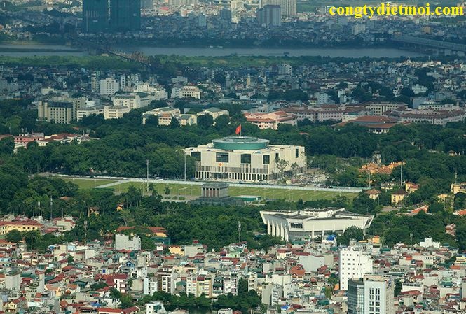 Dịch vụ diệt mối quận Ba Đình