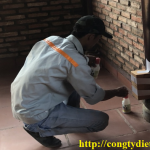 Công ty diệt côn trùng quận Bình Tân