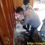 diệt mối tại Bắc Kạn