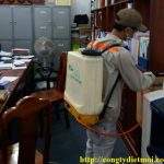 diệt mối tại Hải Phòng