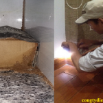 Dịch vụ diệt côn trùng quận hai Bà Trưng