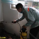 Dịch vụ diệt côn trùng quận Đống Đa