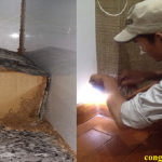 dịch vụ diệt mối tại Bắc Ninh