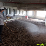 chống mối tại Kiên Giang