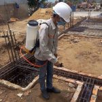 phòng chống mối tại Phú Quốc