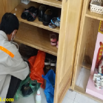 Công ty diệt mối tại Đăk Lăk