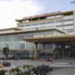 phòng chống mối tại Bạc Liêu