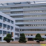 phòng chống mối tại Bắc Kạn