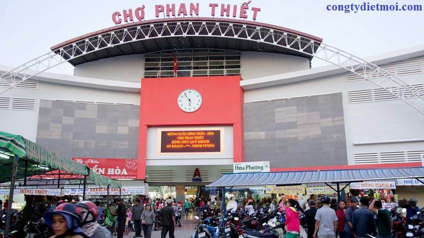 phòng chống mối tại Bình Thuận
