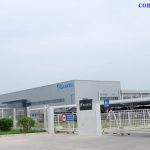 phòng chống mối tại Hưng Yên