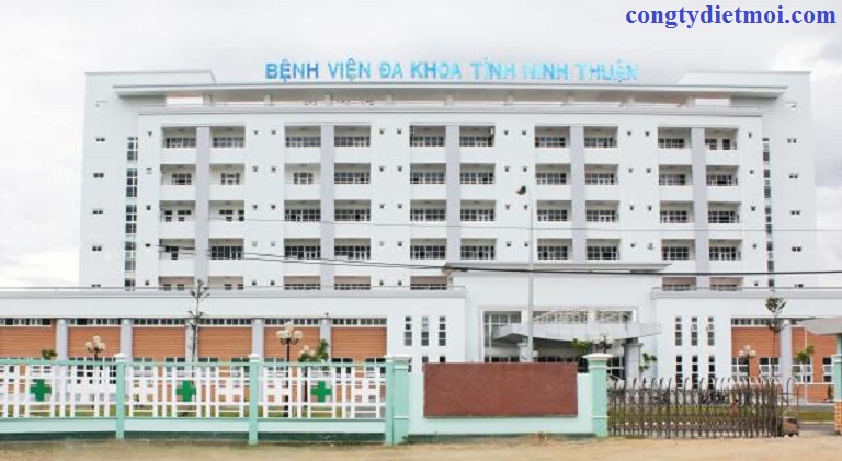 công ty phòng chống mối tại Ninh Thuận