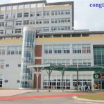 phòng chống mối tại Yên Bái