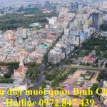 Công ty phun diệt muỗi huyện Bình Chánh