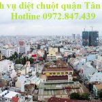 Dịch vụ diệt chuột quận Tân Phú