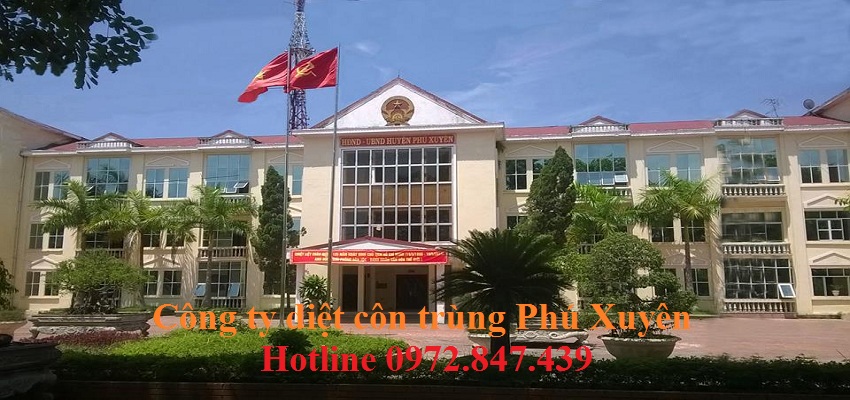 Dịch vụ diệt côn trùng huyện Phú Xuyên