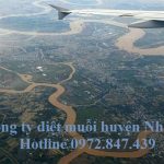 Dịch vụ diệt muỗi huyện Nhà Bè