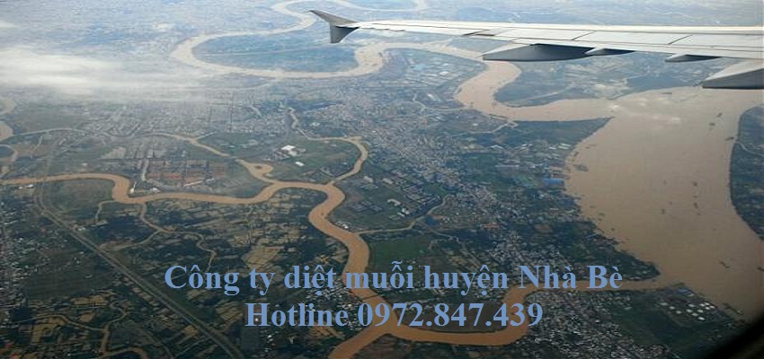 Dịch vụ diệt muỗi huyện Nhà Bè