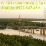 Dịch vụ phun diệt muỗi huyện Cần Giờ