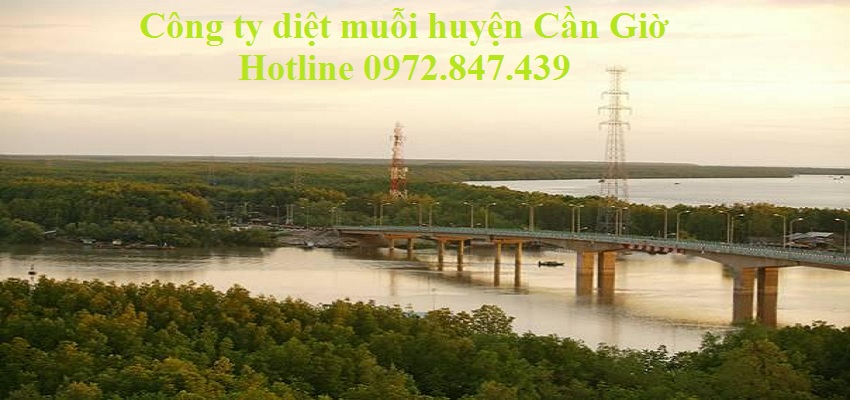 Dịch vụ phun diệt muỗi huyện Cần Giờ