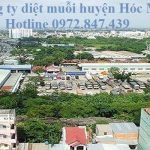 Dịch vụ phun diệt muỗi giá rẻ huyện Hóc Môn