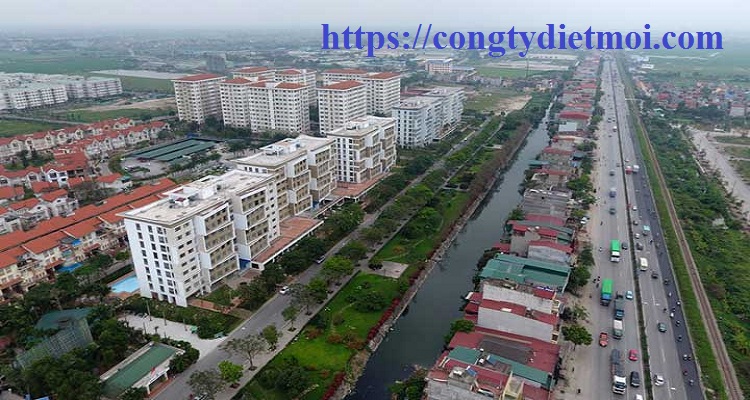 Dịch vụ diệt côn trùng quận Hà Đông