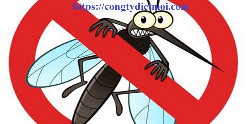 Công ty diệt muỗi giá rẻ Bình Định