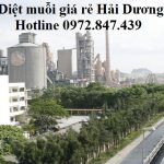 Công ty diệt muỗi giá rẻ tỉnh Hải Dương