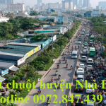 Công ty diệt chuột huyện Nhà Bè