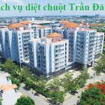 Dịch vụ diệt chuột quận 12