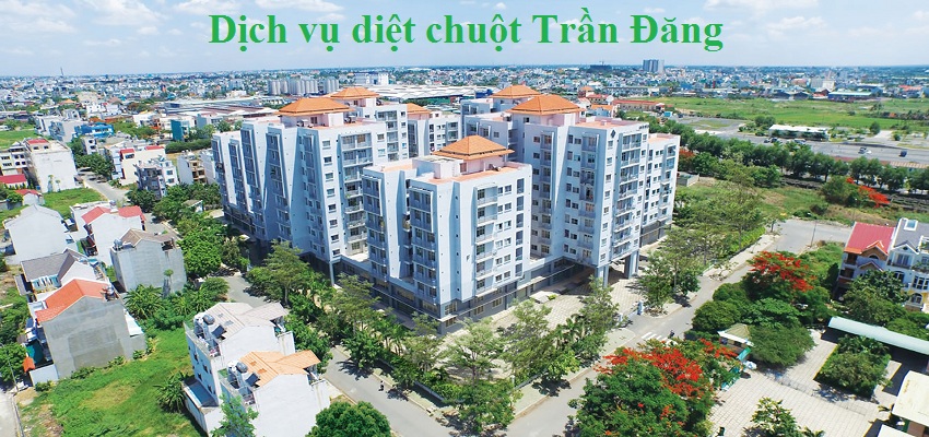 Dịch vụ diệt chuột quận 12