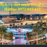 Dịch vụ diệt muỗi giá rẻ tỉnh Yên Bái