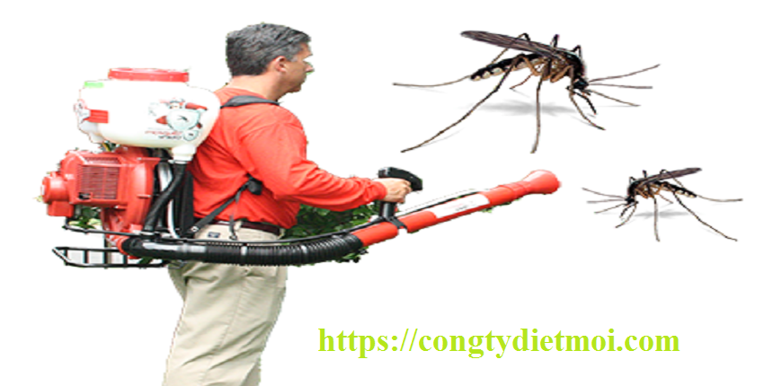 dịch vụ diệt muỗi tận gốc tại Bắc Ninh