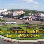 Dịch vụ diệt muỗi tỉnh Bình Phước