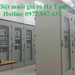 Dịch vụ phun diệt muỗi tại Hà Tỉnh