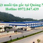 Dịch vụ phun diệt muỗi tại Quảng Ninh