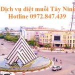 Dịch vụ phun diệt muỗi tỉnh Tây Ninh