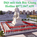 Phun diệt muỗi giá rẻ tỉnh Bắc Giang