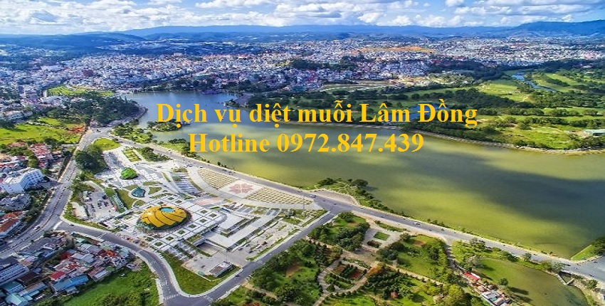 Phun diệt muỗi tận gốc tại Lâm Đồng