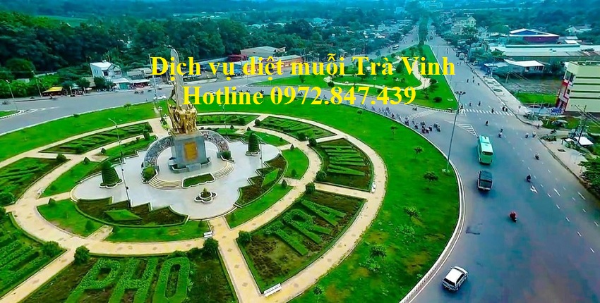 Phun diệt muỗi tận gốc tại Trà Vinh