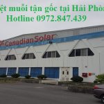 Phun thuốc diệt muỗi tận gốc tại Hải Phòng